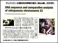 人とチンパンジー、大違い