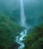 渇いてませんか　あなたの心？!