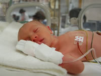 生きるってなんだろう?