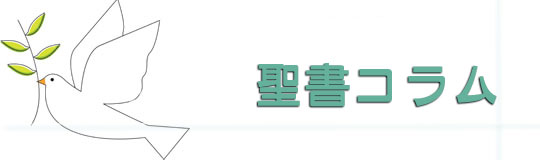 聖書コラム